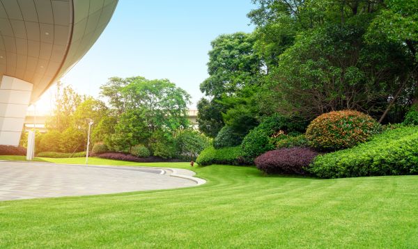 Commercial Shrub Trimming in Simi Valley