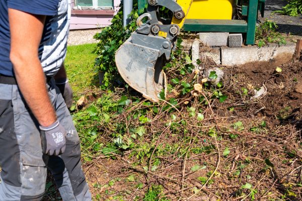 Hedge Removal Service in Simi Valley