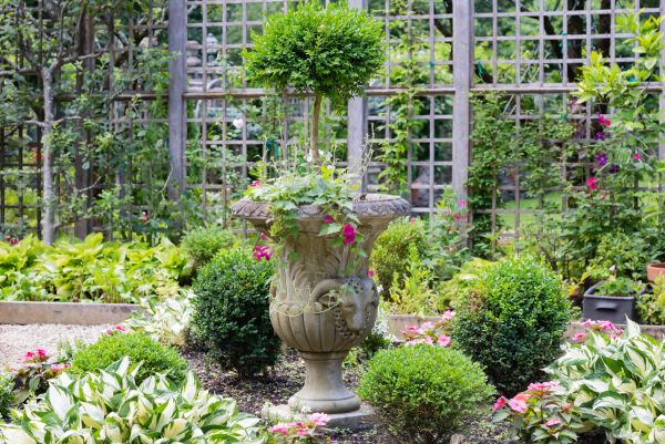 Topiary Pruning in Simi Valley
