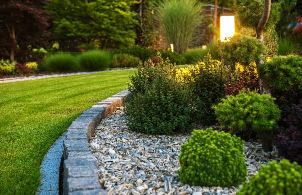 Bush Relocation in Simi Valley