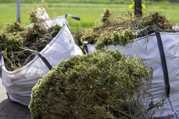 Shrubs Removal in Simi Valley