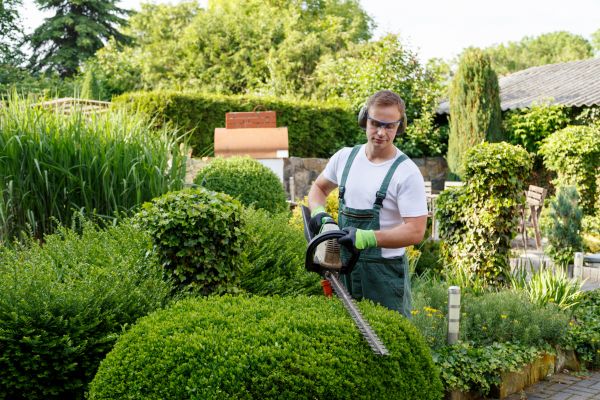 Shrubs Trimming in Simi Valley