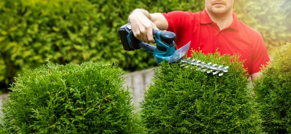 Hedge Shaping Service in Simi Valley