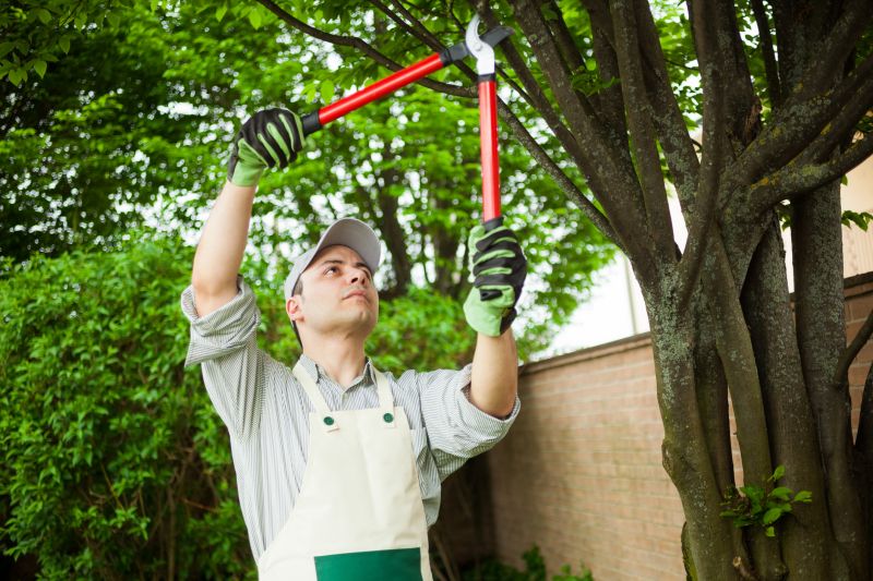 Landscape Pruning Service