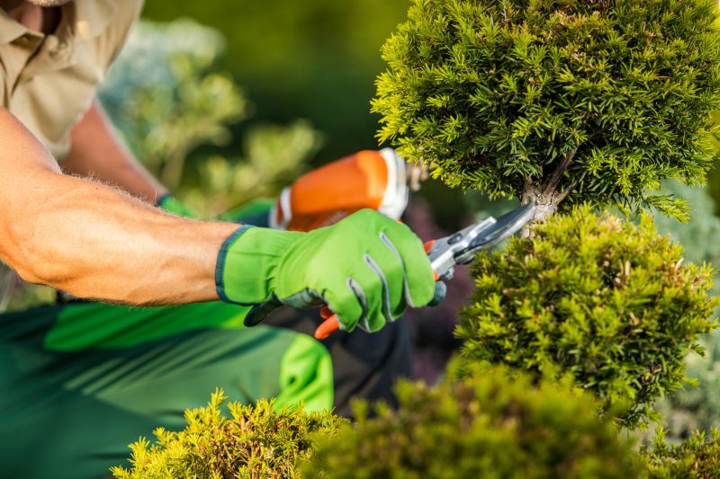Pruning Shrubs for Health