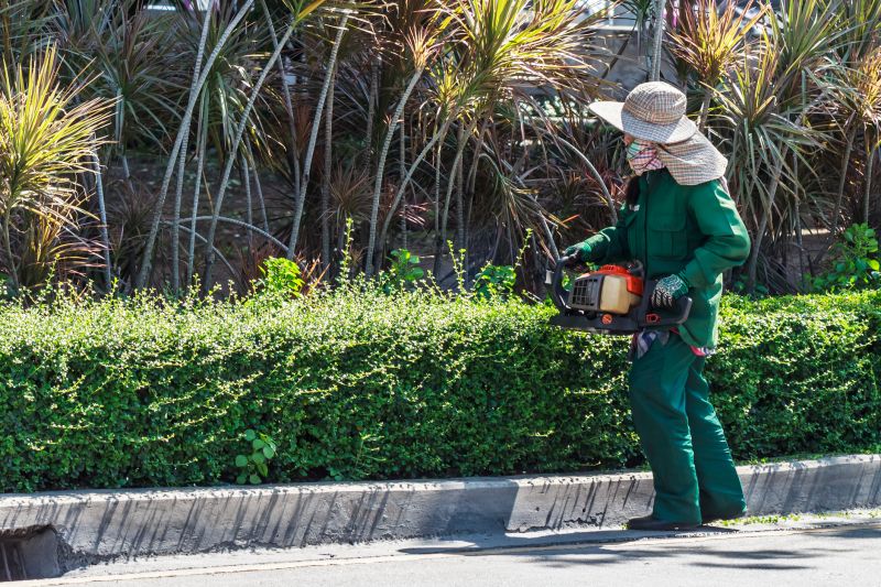 Seasonal Shrub Maintenance